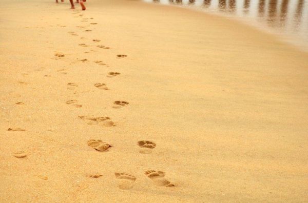 footprints_hires